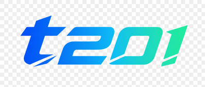 t201